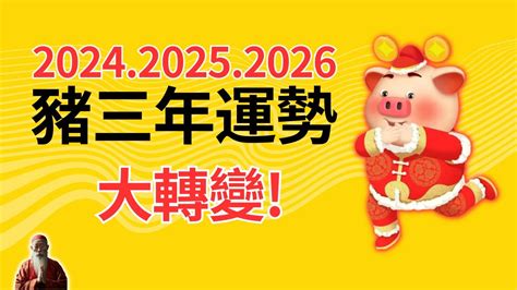 豬年幸運顏色|【屬豬 顏色】速查2024屬豬運勢指南：幸運色、財位、禁忌